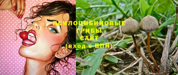 тгк Аркадак